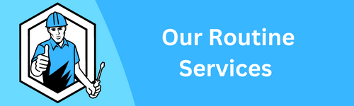 Our Routine Services